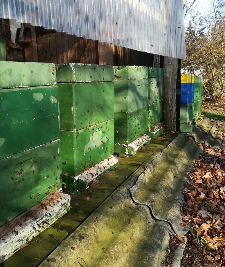 Ferienwohnung Wiesenweg Bad Bederkesa Eksteriør billede