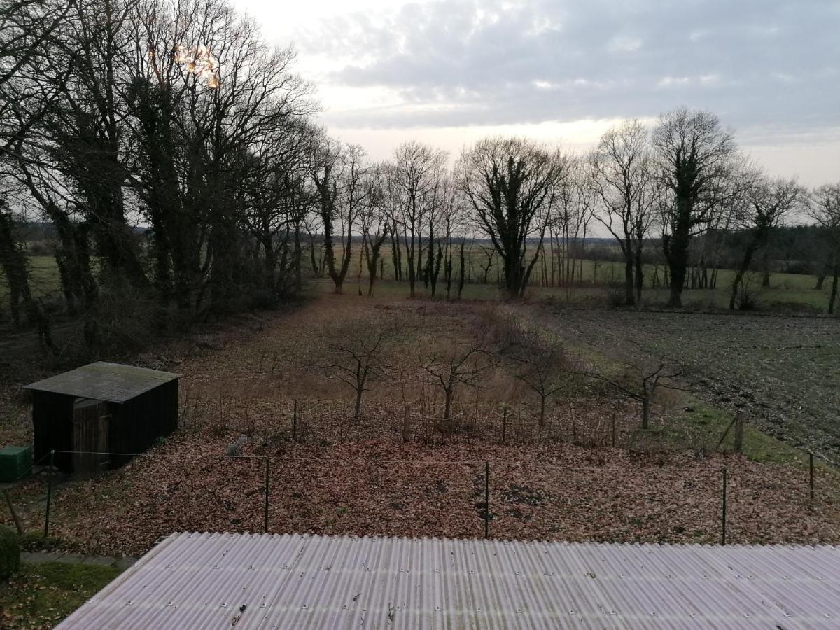 Ferienwohnung Wiesenweg Bad Bederkesa Eksteriør billede